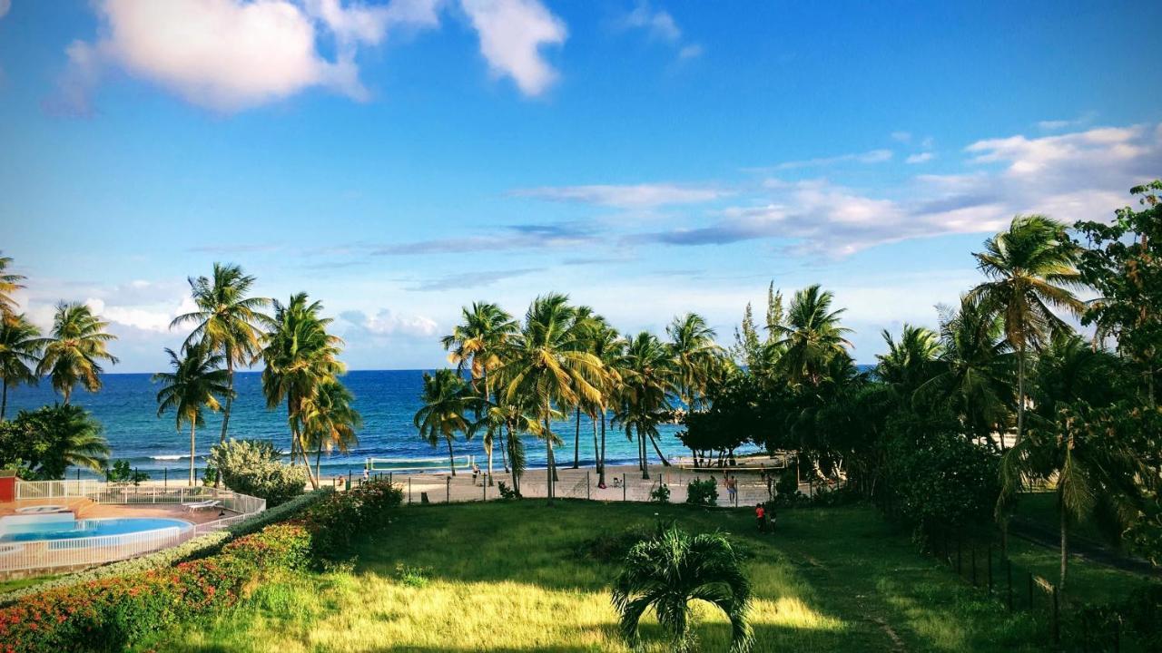 Studio Vue Mer Le Gosier Sans Coupure D'Eau Esterno foto